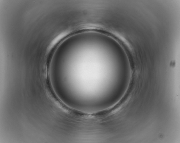 X0000091851317200709051138