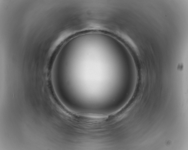 X0000091851318200709051138