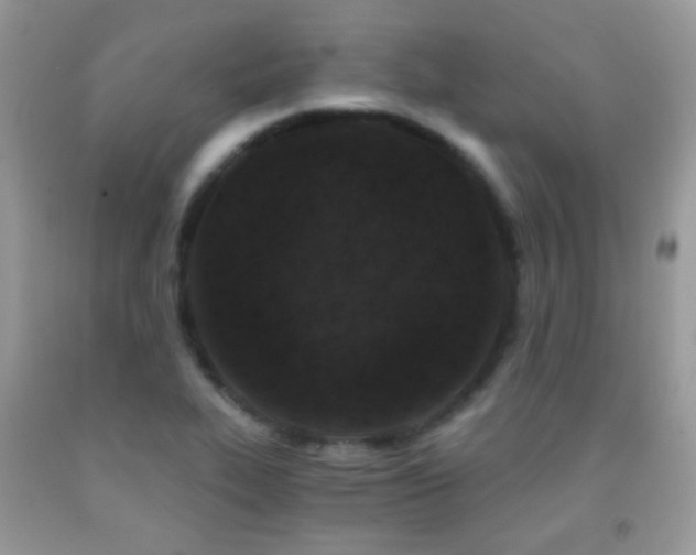 X0000091851319200709051138
