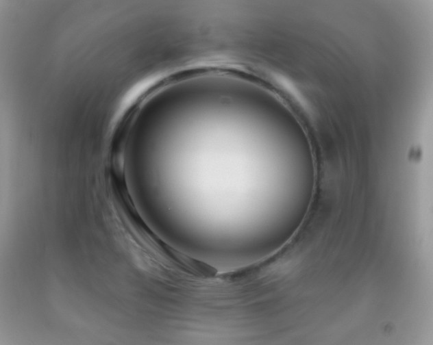 X0000091851320200709051138