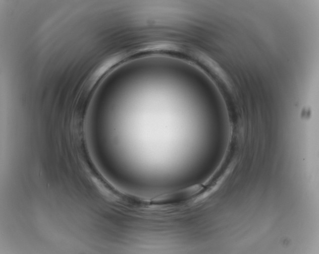 X0000091851321200709051138