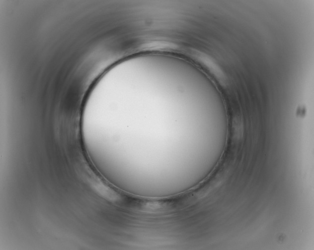 X0000091851322200709051138