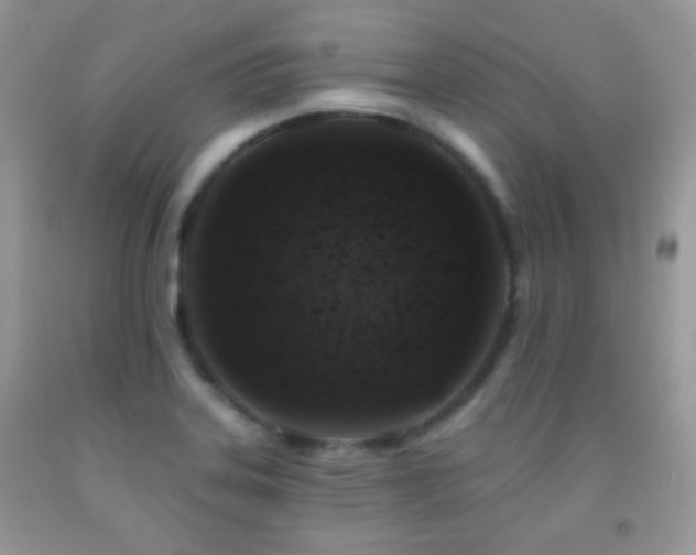 X0000091851323200709051138