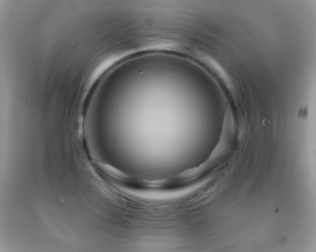 X0000091851324200709051138