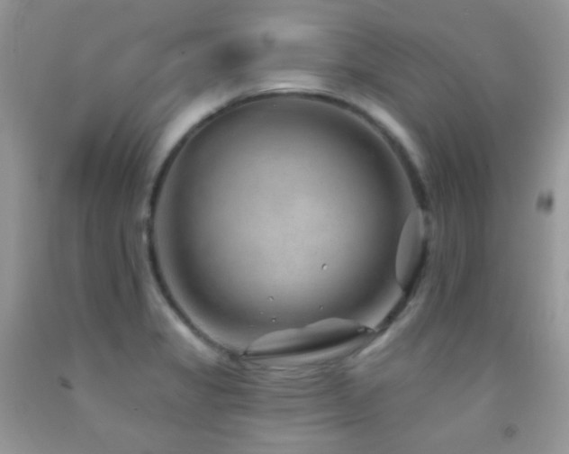 X0000091851325200709051138