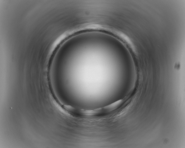 X0000091851326200709051138