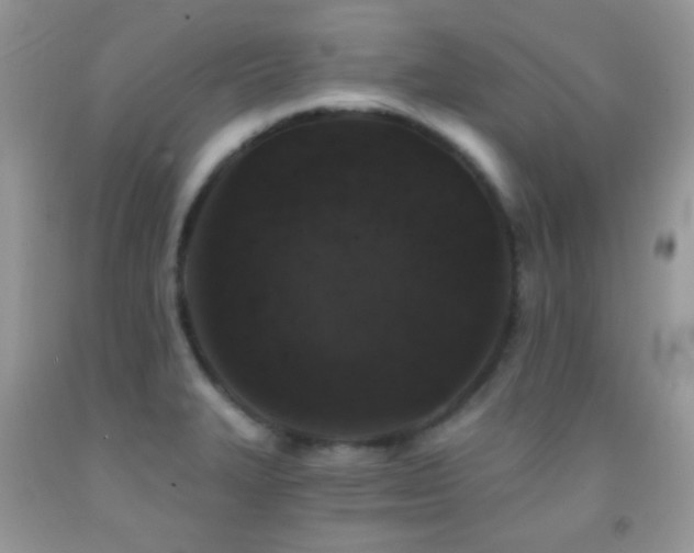 X0000091851327200709051138