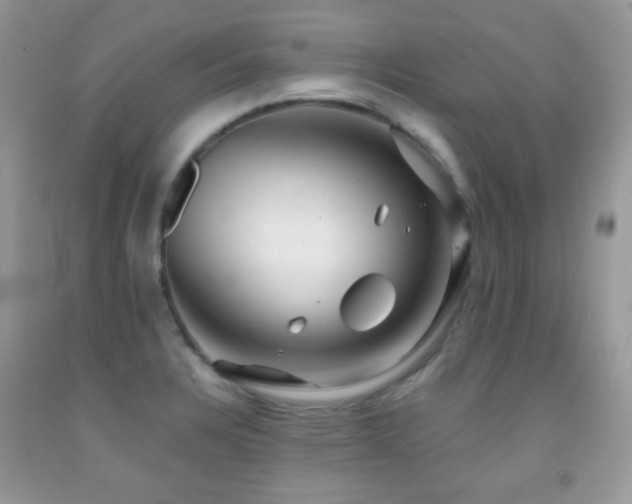 X0000091851328200709051139