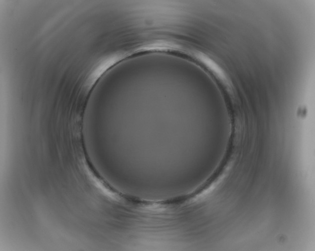 X0000091851329200709051139