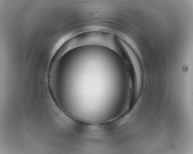 X0000091851330200709051139