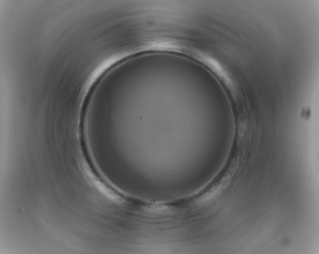 X0000091851331200709051139