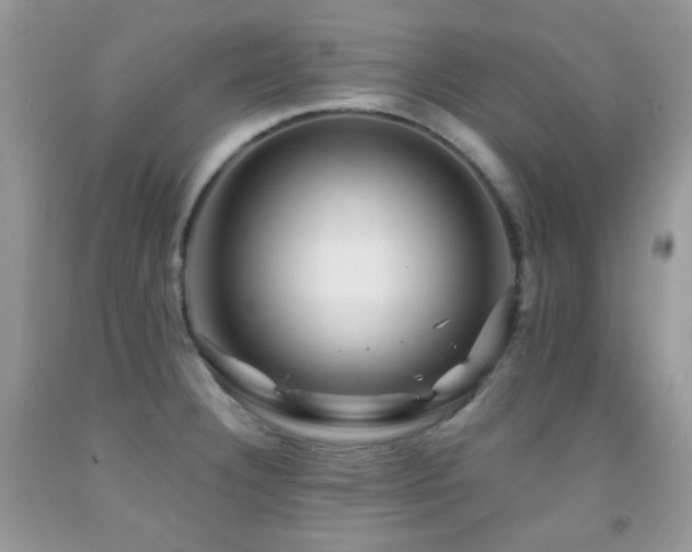 X0000091851332200709051139