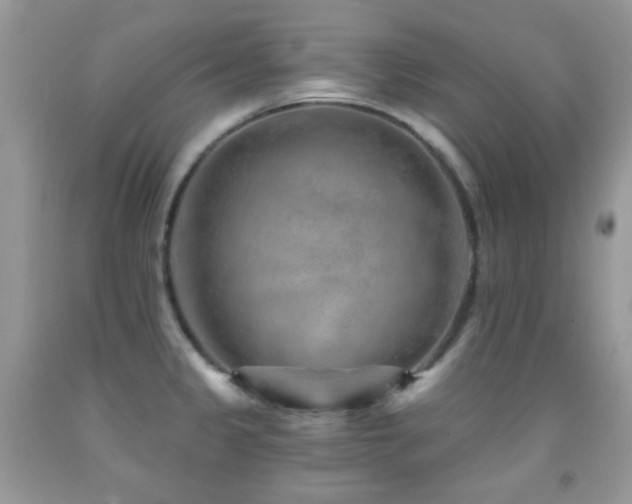 X0000091851333200709051139