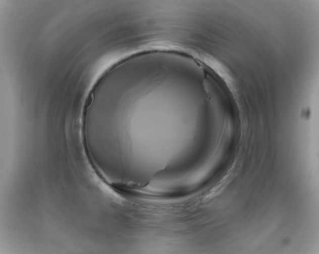 X0000091851334200709051139