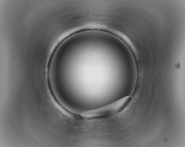 X0000091851335200709051139