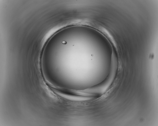 X0000091851336200709051139