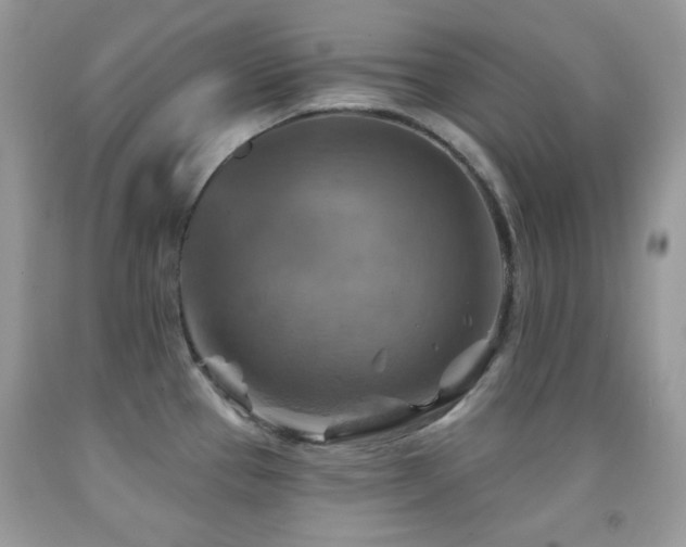 X0000091851337200709051139