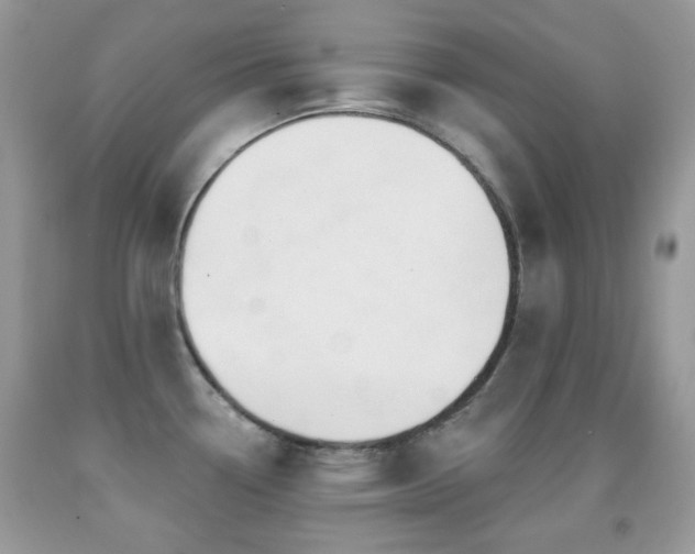 X0000091851338200709051139