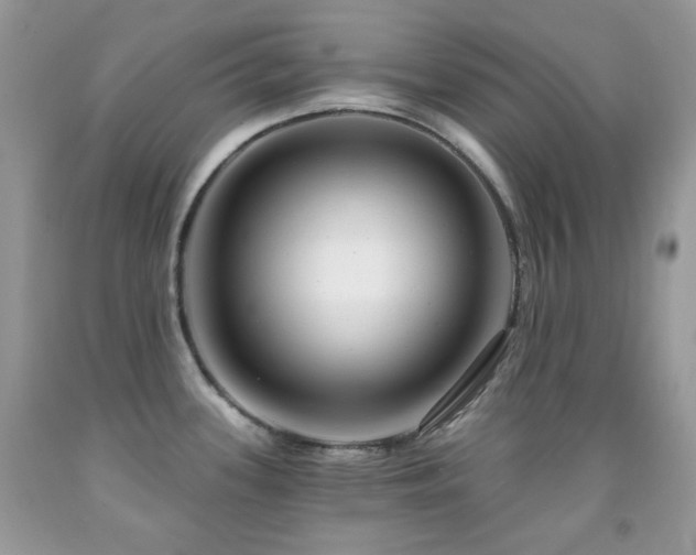 X0000091851339200709051139