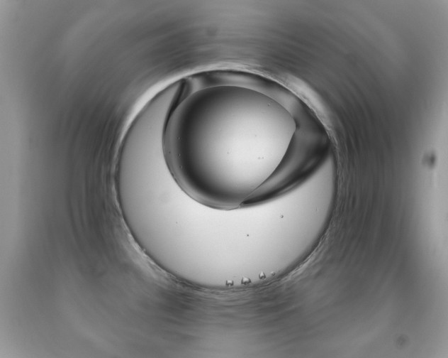 X0000091851340200709051139