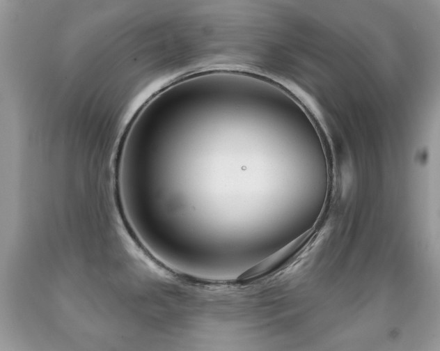 X0000091851341200709051139