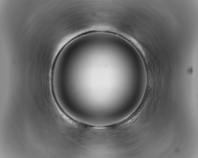 X0000091851343200709051139