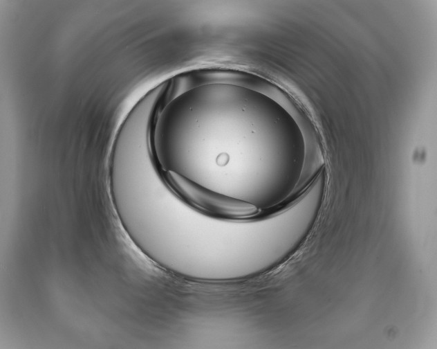 X0000091851344200709051139