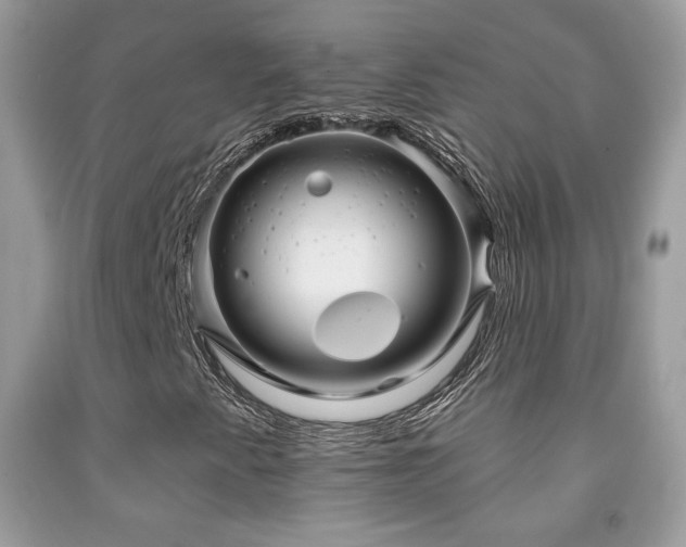 X0000091851345200709051138
