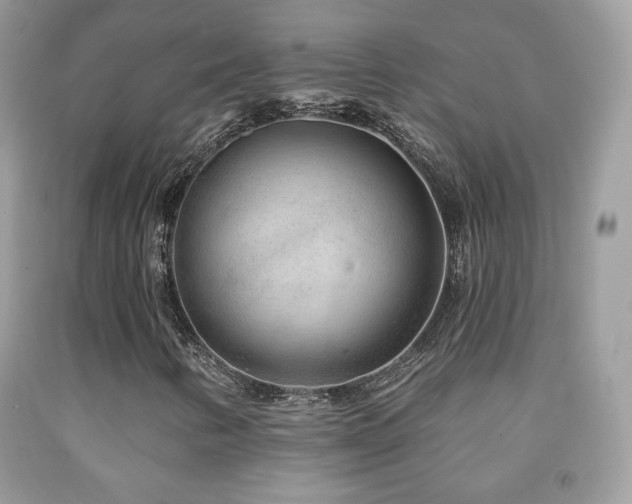 X0000091851346200709051138