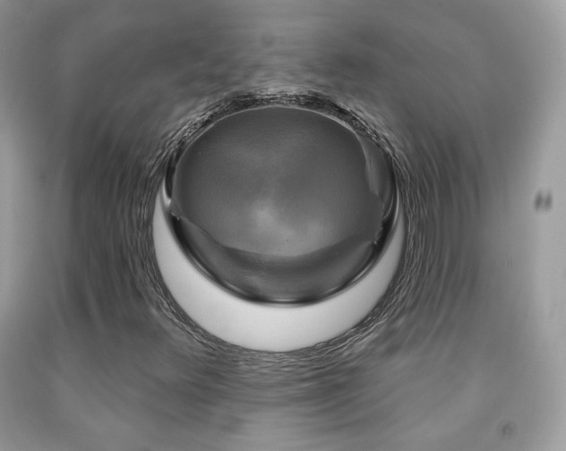 X0000091851348200709051138