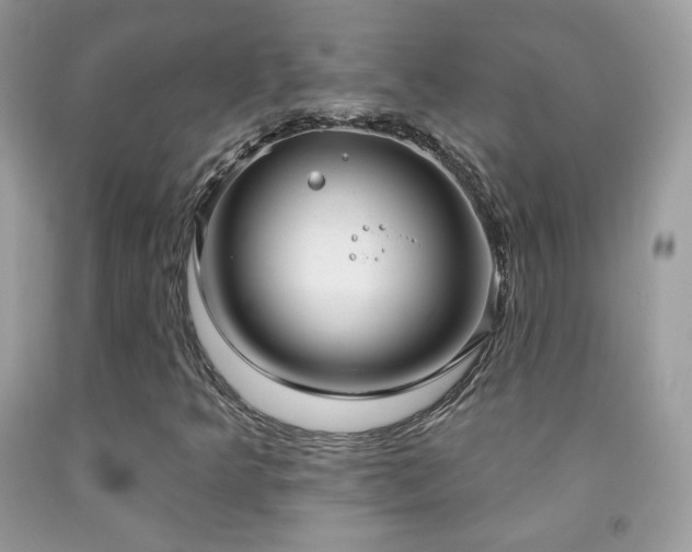 X0000091851349200709051138