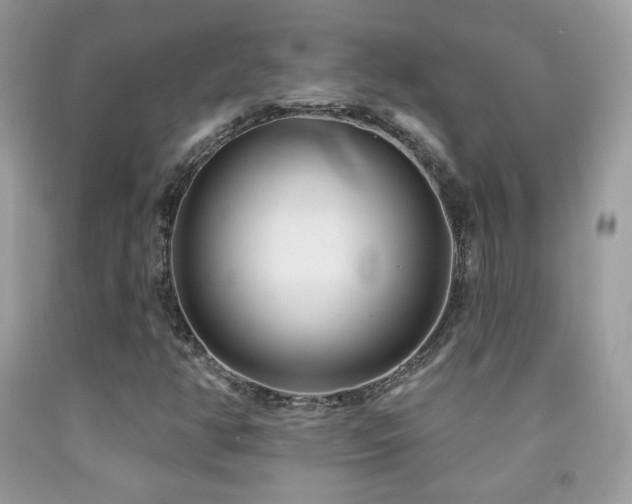 X0000091851350200709051138