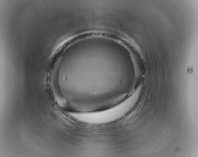 X0000091851352200709051138