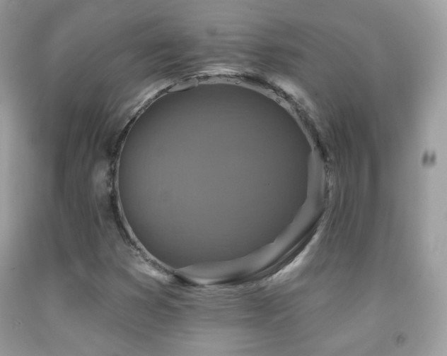 X0000091851353200709051138