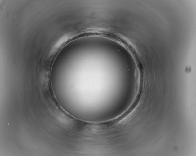 X0000091851355200709051138