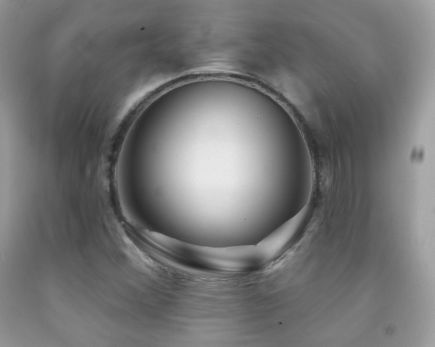 X0000091851356200709051138