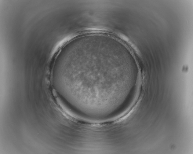 X0000091851357200709051138
