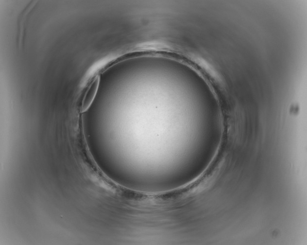 X0000091851358200709051138