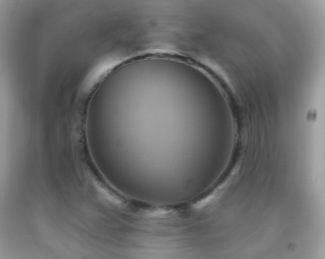 X0000091851359200709051138