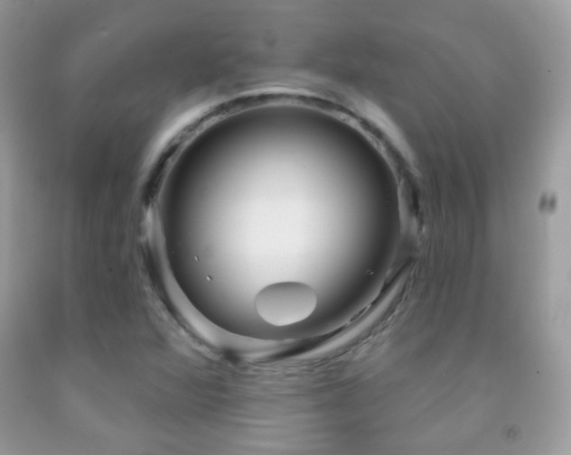 X0000091851360200709051138