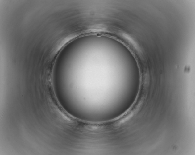 X0000091851361200709051138
