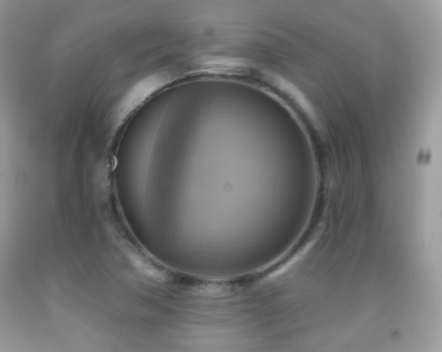 X0000091851362200709051138