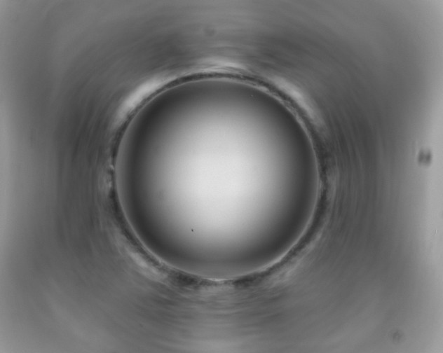 X0000091851363200709051138