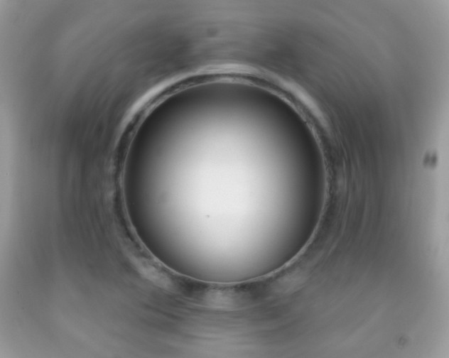 X0000091851364200709051138