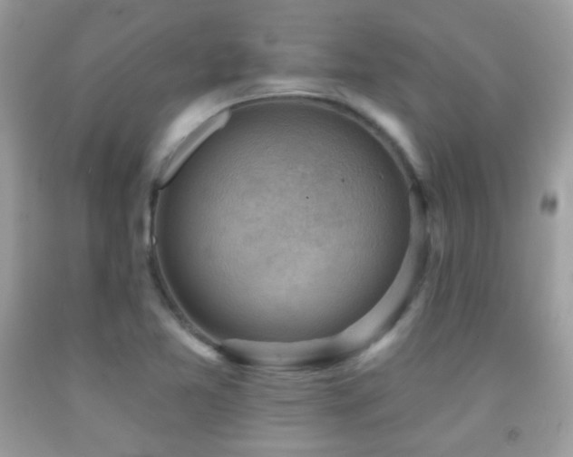 X0000091851365200709051138