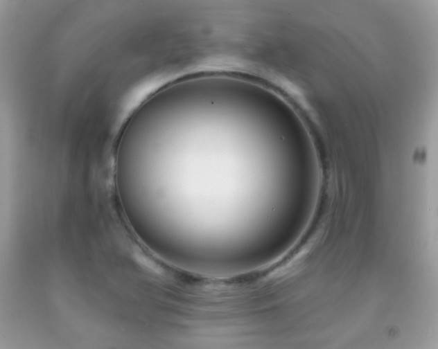 X0000091851366200709051138
