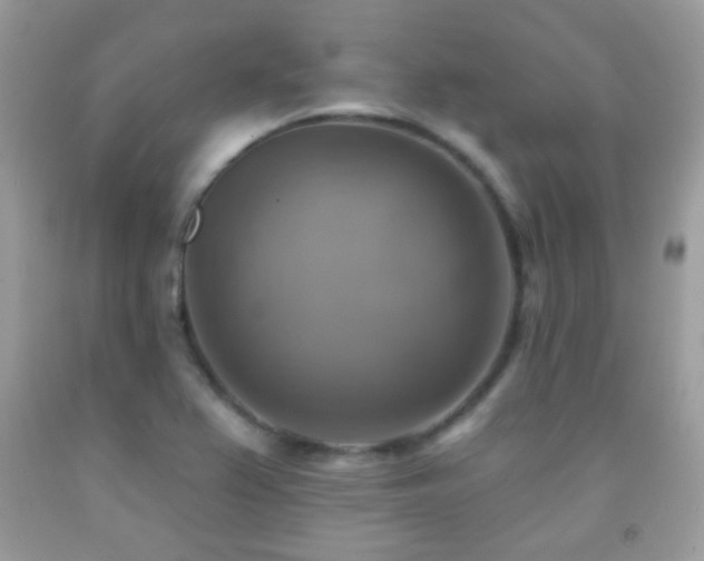 X0000091851367200709051138
