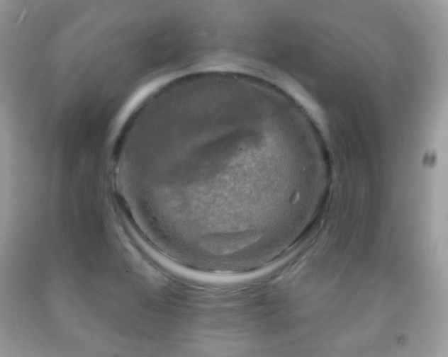 X0000091851368200709051138