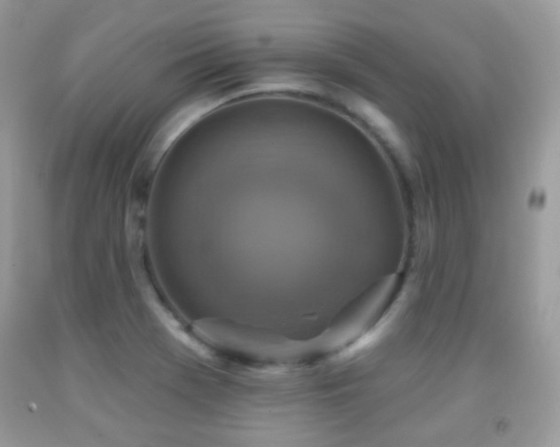 X0000091851369200709051138