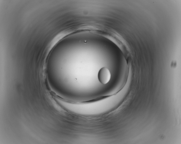 X0000091851370200709051138